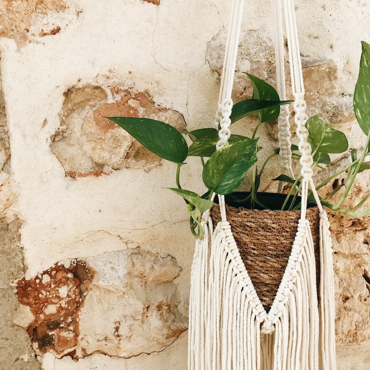 Macramé plantenhanger